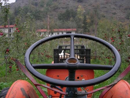  I Campi - Agricoltura Biologica L'Ostal 